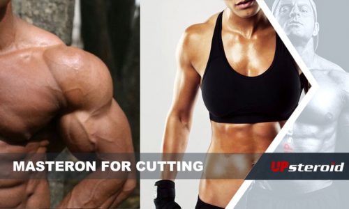 Masteron Schnëtt (1)