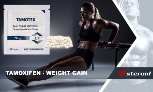 erop Blog Tamoxifen Gewiichtszunahme