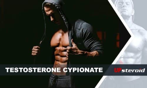 erop Blog Testosteron Cypionat fir Bodybuilding