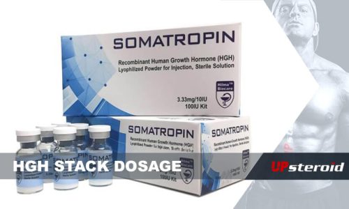 erop Blog HGH Stack Dosis