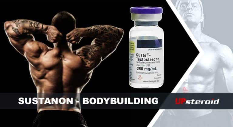 Blog iwwer Susta Bodybuilding