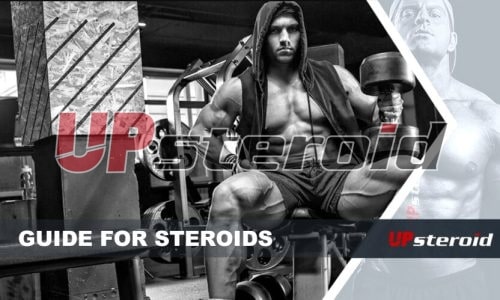 Blog Guide Steroid
